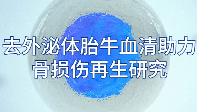 IF=4.3| Umibio去外泌体胎牛血清（UR50202）助力客户骨损伤再生研究！