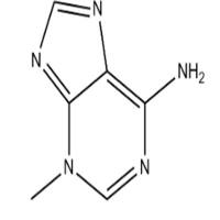 3-Methyladenine