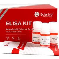  Mouse IFNGR1/CD119 ELISA Kit
