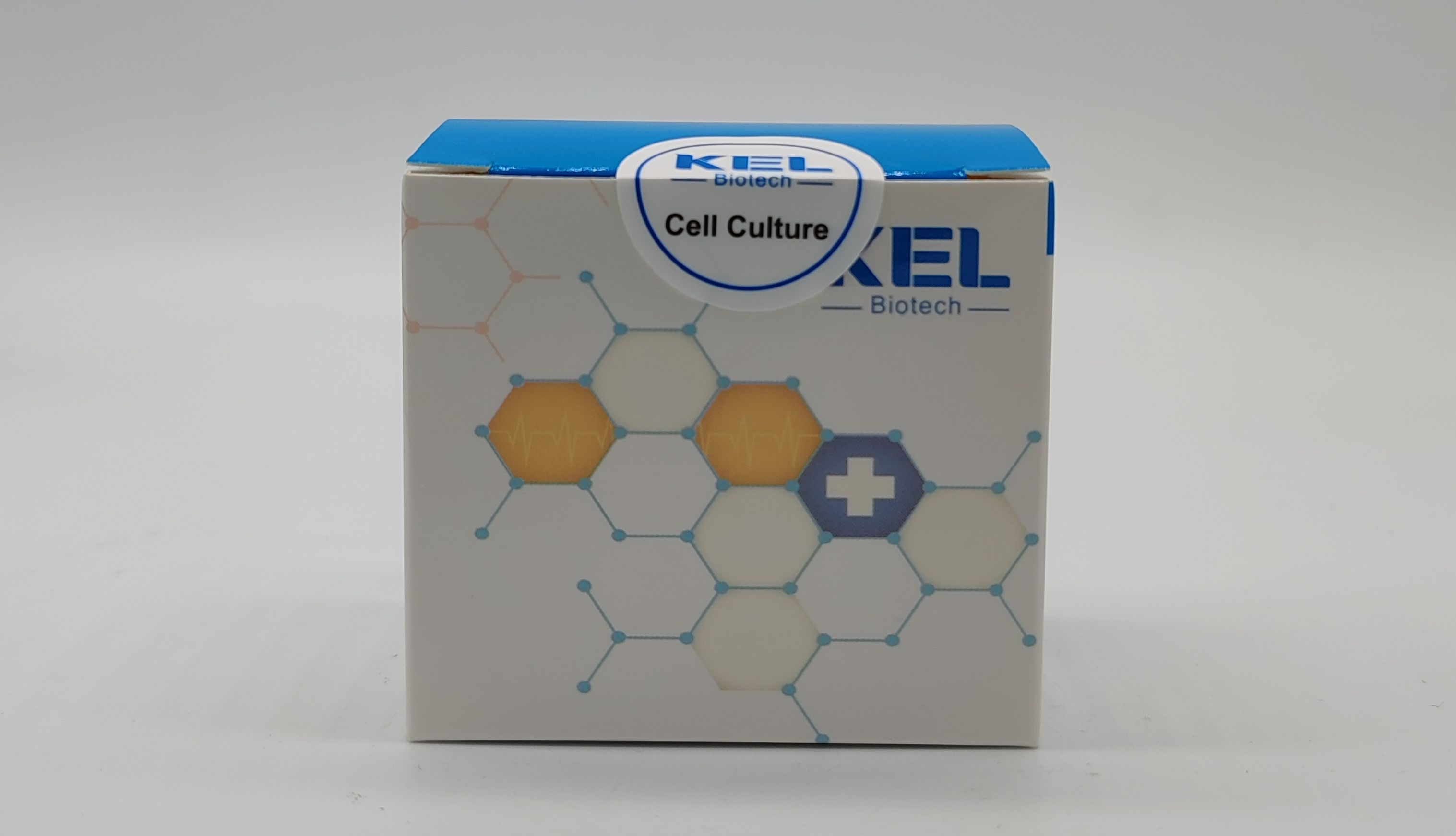 BlasTaq 2X qPCR MasterMix