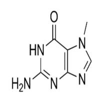 7-Methylguanine