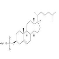 Cholesterol Sulfate (sodium salt)