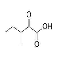 3-Methyl-2-oxovaleric acid