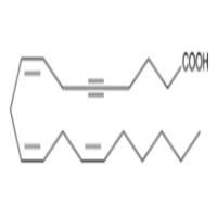 5,6-dehydro Arachidonic Acid