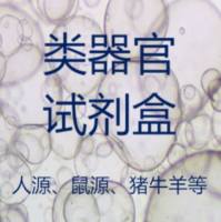 类器官试剂盒培养基-人源、鼠源、猪牛羊等源