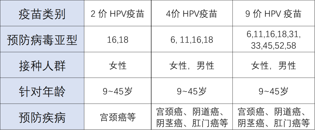 重磅热推 | 吉满HPV假病毒，助力疫苗研发