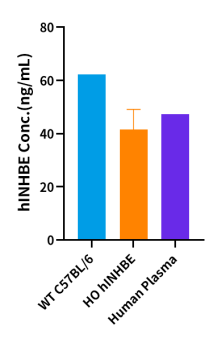 INHBE：减脂界冉冉升起的新星