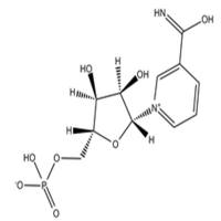 beta-Nicotinamide mononucleotide