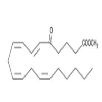 5-OxoETE methyl ester