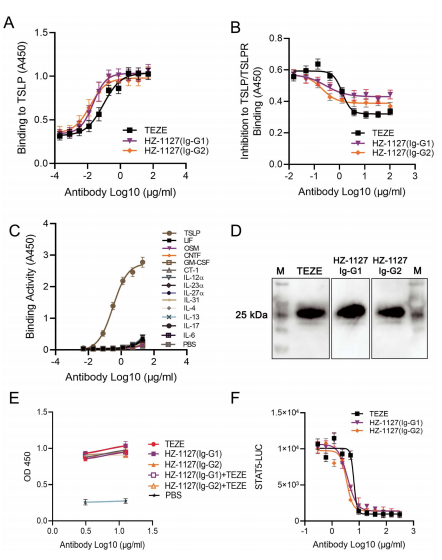 喜讯:IPHASE携手宾夕法尼亚大学开发新抗体!