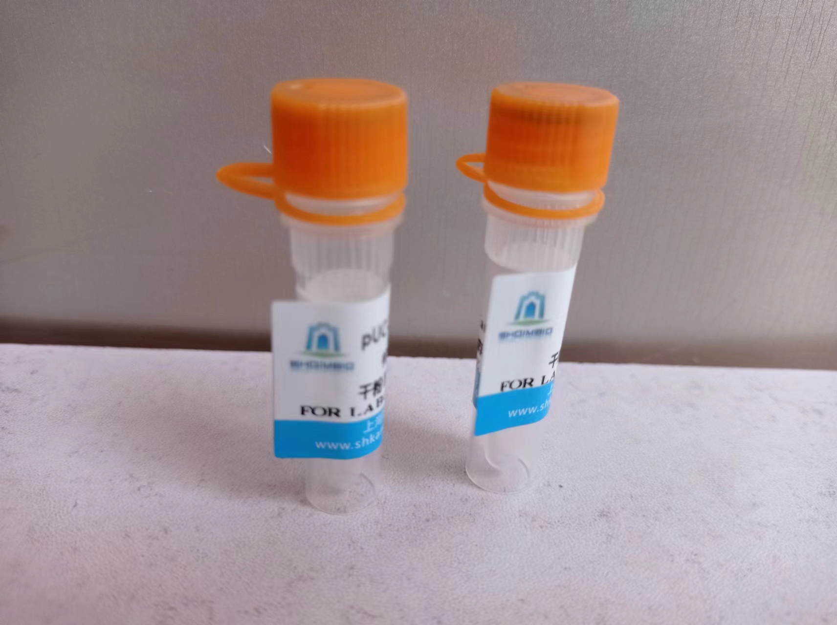 pCMV-EGFP-NSP1(SARS-CoV-2)-3×F