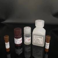 泊洛沙姆 407,70%，分子量9840-14600