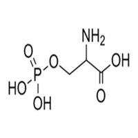 DL-O-Phosphoserine