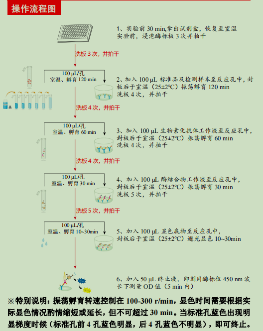 产品细节图片2