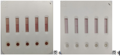 产品细节图片11