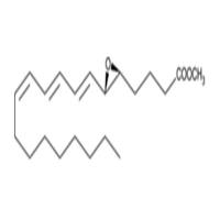 Leukotriene A3 methyl ester