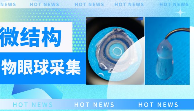 20张图！让你彻底学会眼球微结构采集