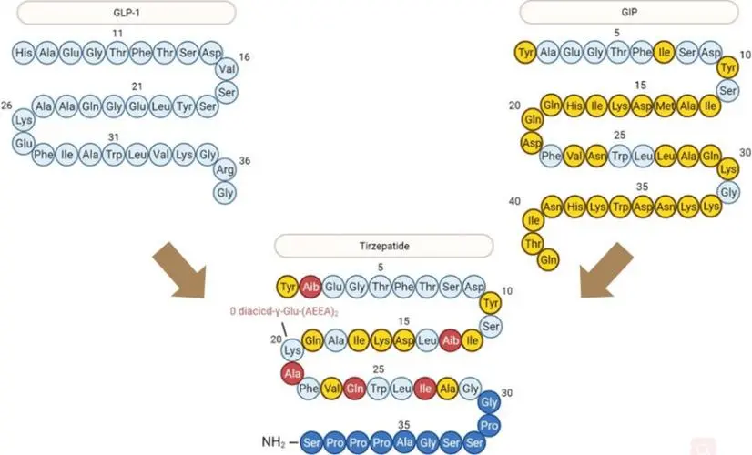 tirzepatide 是 什么 礼来替尔泊肽Tirzepatide，减肥药物对决：替尔泊肽vs司美格鲁肽-企业动态-丁香通