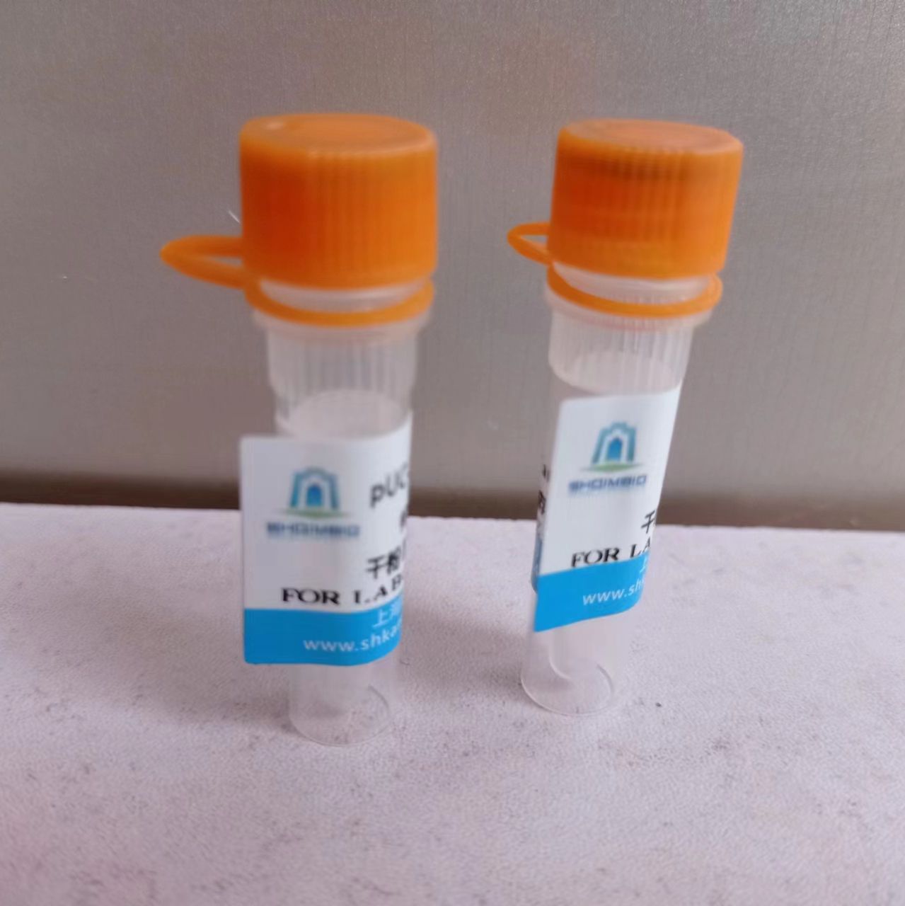 pCMV-EGFP-NSP1(SARS-CoV-2)-3×FLAG-Neo质粒载体