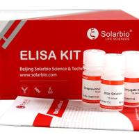  Glucagon ELISA Kit