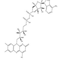 Flavin adenine dinucleotide