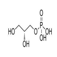 Glycerol 3-phosphate
