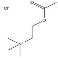 Acetylcholine Chloride
