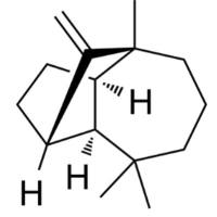 6-O-Demethyl Griseofulvin