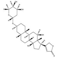 Digoxigenin Monodigitoxoside