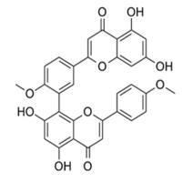 Isoginkgetin