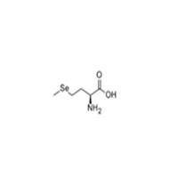 L-SelenoMethionine