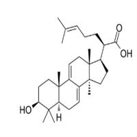 3-Dehydrotrametenolic acid