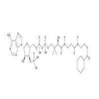 Cyclohexanoyl Coenzyme A
