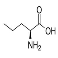 L-Norvaline