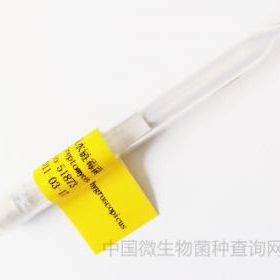 吸水链霉菌	bio-51873	产品图
