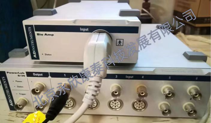 �ȸ�Ȯ�ļ����ˡ��ļ���ά��ģ��