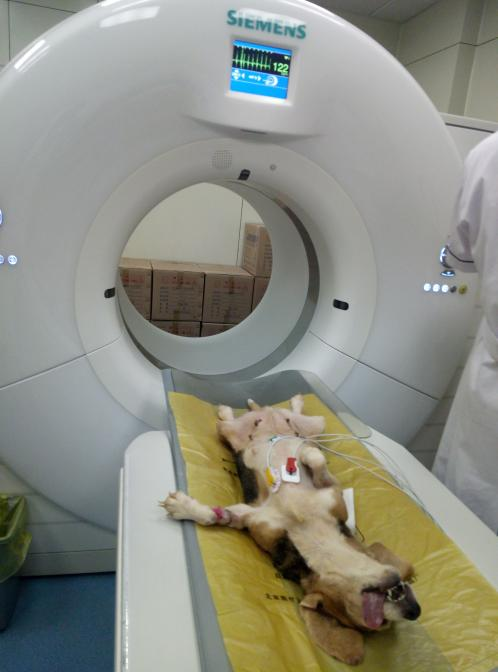 �ȸ�Ȯ�ļ����ˡ��ļ���ά��ģ��