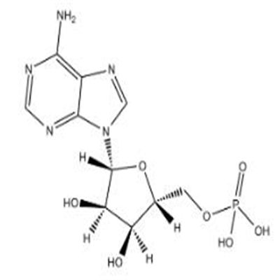 Adenosine 5-monophosphate