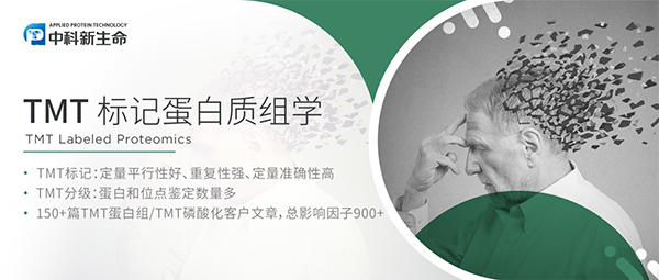 项目文章Adv Sci（IF14.3）| 环境污染新警钟：镉暴露与阿尔兹海默症有联系？SIRT5介导的RAB7A成关键