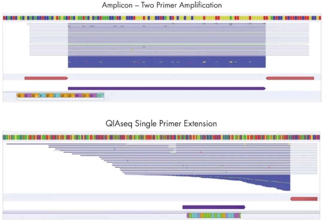 法医科学 | 降解、痕量样本NGS检测技术突破——靶向扩增技术