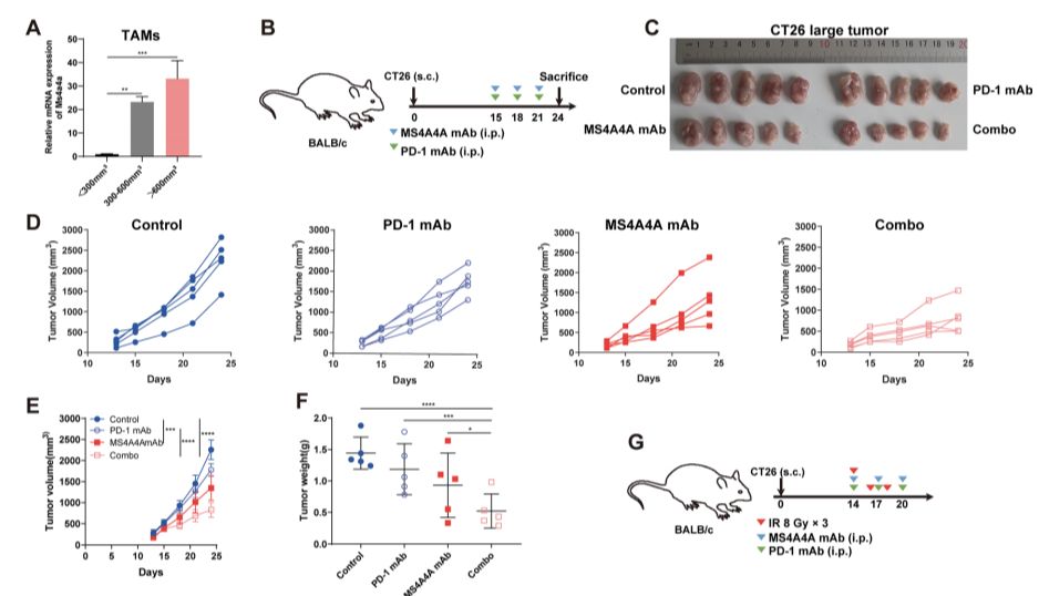 抗体定制，限时好礼享不停！！