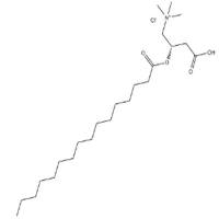 (±)-Palmitoylcarnitine chloride