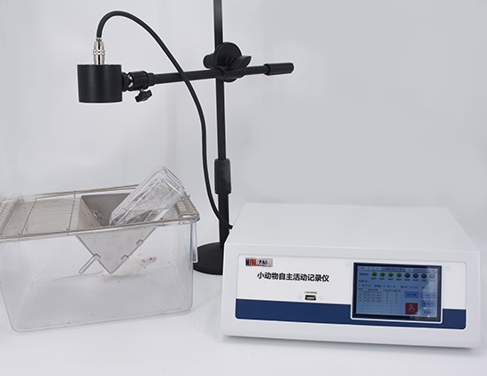 小动物活动记录仪