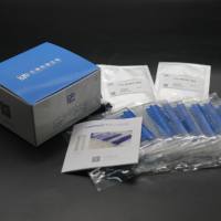 LabPAGETM 预制胶8%12孔