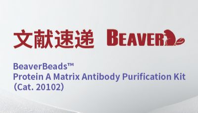 Nature子刊 | Protein A/G磁珠Co-IP实验，助力VLS疫苗研究