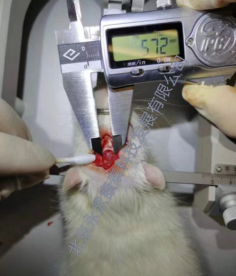 ­��ȱ������ģ��