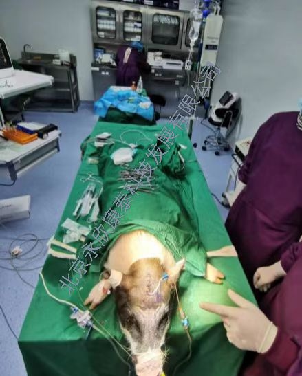 �������Բ���������ģ��