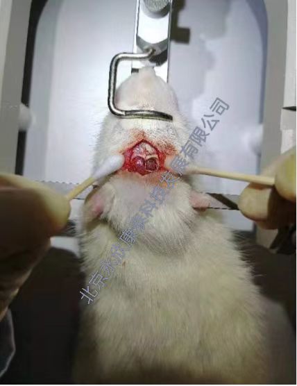 ­��ȱ������ģ��