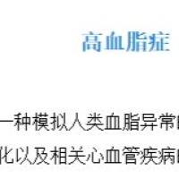 高血脂症（HL）模型