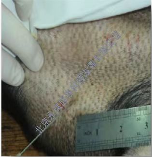 С������������Ӳ��ģ��